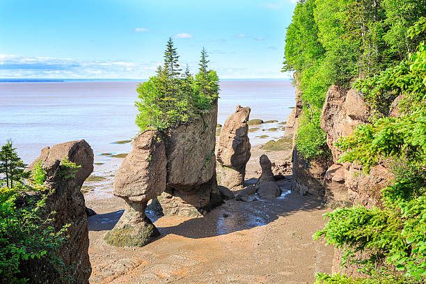 Hopewell Rocks